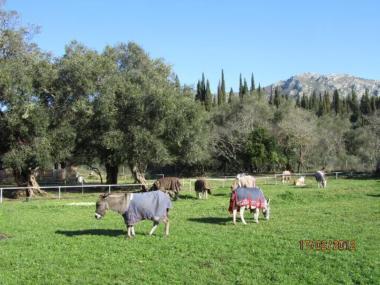 Πεζοπορία στο 'Donkey Path'