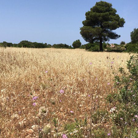 Θαλάσσιο Πάρκο Ζακύνθου